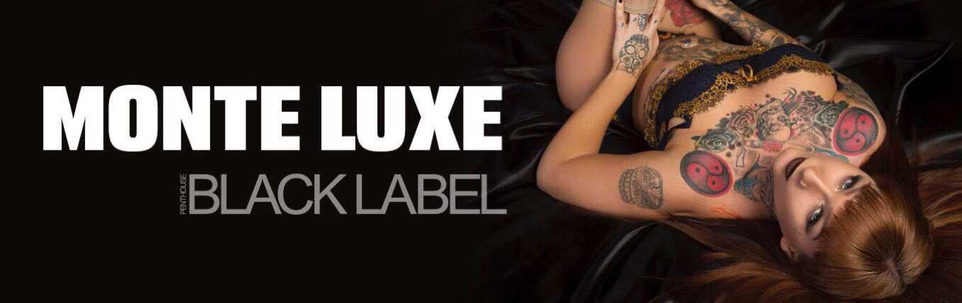 monte luxe banner image 1